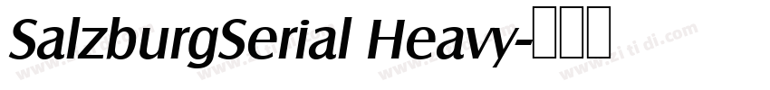 SalzburgSerial Heavy字体转换